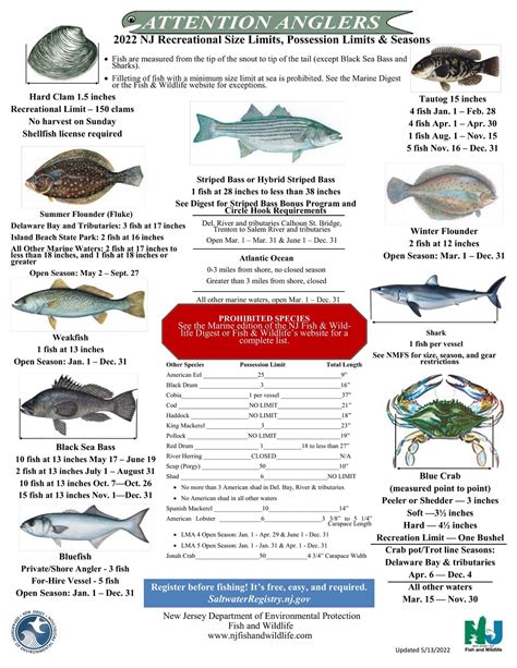 nc fishing regulations saltwater|Fishing, Hunting & Trapping Regulations .